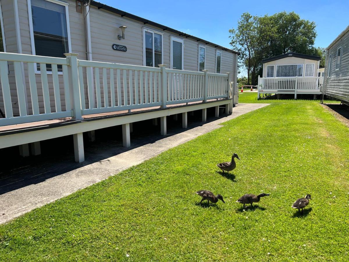 Dragonfly Lodge Саут-Керні Екстер'єр фото